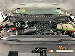 2025 Ford F-350 Regular Cab SRW 4x4 Pickup for sale #I8485 - photo 21