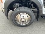 2025 Ford F-550 Crew Cab DRW 4x4 Cab Chassis for sale #I8495 - photo 22