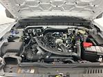 New 2025 Ford Bronco Stroppe Edition 4WD SUV for sale #I8528 - photo 30