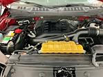 2015 Ford F-150 SuperCrew Cab 4x4 Pickup for sale #I8615A - photo 29