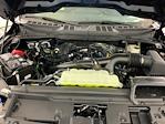2025 Ford F-150 Super Cab 4x4 Pickup for sale #I8617 - photo 27