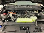 2025 Ford F-150 SuperCrew Cab 4x4 Pickup for sale #I8625 - photo 30