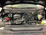 2025 Ford F-250 Regular Cab 4x4 Pickup for sale #I8679 - photo 25