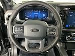 2025 Ford F-150 SuperCrew Cab 4x4 Pickup for sale #I8684 - photo 19