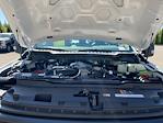 2025 Ford F-600 Regular Cab DRW 4x4 Cab Chassis for sale #I8757 - photo 18