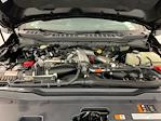 2025 Ford F-350 Crew Cab SRW 4x4 Pickup for sale #I8760 - photo 34