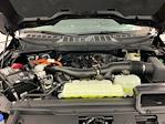 2025 Ford F-150 SuperCrew Cab 4x4 Pickup for sale #I8803 - photo 32