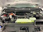 2025 Ford F-150 SuperCrew Cab 4x4 Pickup for sale #I8808 - photo 29