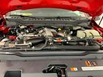 2025 Ford F-350 Crew Cab SRW 4x4 Pickup for sale #I8824 - photo 34