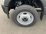 2025 Ford F-550 Regular Cab DRW 4x4 Cab Chassis for sale #I8834 - photo 17