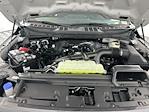 2025 Ford F-150 SuperCrew Cab 4x4 Pickup for sale #I8871 - photo 27