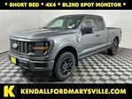 2025 Ford F-150 Super Cab 4WD Pickup for sale #I8898B - photo 1