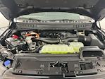 2025 Ford F-150 SuperCrew Cab 4x4 Pickup for sale #I8925 - photo 38