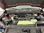 2025 Ford F-150 SuperCrew Cab 4x4 Pickup for sale #I8926 - photo 34