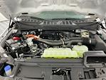 2025 Ford F-150 SuperCrew Cab 4x4 Pickup for sale #I8972 - photo 27