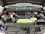 2025 Ford F-150 SuperCrew Cab 4x4 Pickup for sale #I8990 - photo 33