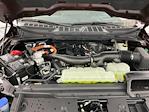 2025 Ford F-150 SuperCrew Cab 4x4 Pickup for sale #I9002 - photo 34