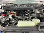 New 2025 Ford F-150 XLT SuperCrew Cab 4x4 Pickup for sale #I9010 - photo 32