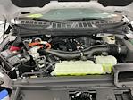 New 2025 Ford F-150 XLT SuperCrew Cab 4x4 Pickup for sale #I9038 - photo 30