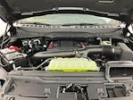 2025 Ford F-150 SuperCrew Cab 4x4 Pickup for sale #I9039 - photo 33
