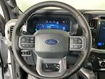 2025 Ford F-150 SuperCrew Cab 4x4 Pickup for sale #I9070 - photo 17