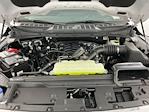 2025 Ford F-150 SuperCrew Cab 4x4 Pickup for sale #I9070 - photo 31