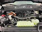 2025 Ford F-150 SuperCrew Cab 4x4 Pickup for sale #I9085 - photo 27