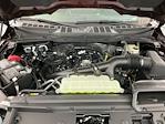 2025 Ford F-150 SuperCrew Cab 4WD Pickup for sale #I9156 - photo 31