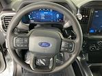 2025 Ford F-150 SuperCrew Cab 4WD Pickup for sale #I9267 - photo 15
