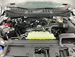 2025 Ford F-150 Regular Cab 4WD Pickup for sale #I9270 - photo 21