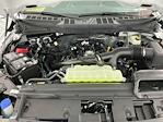 2025 Ford F-150 Regular Cab 4WD Pickup for sale #I9287 - photo 20