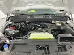 2025 Ford F-150 Regular Cab 4WD Pickup for sale #I9289 - photo 21