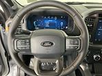 2025 Ford F-150 SuperCrew Cab 4WD Pickup for sale #I9310 - photo 18