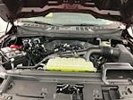 2025 Ford F-150 SuperCrew Cab 4WD Pickup for sale #I9319 - photo 27