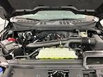 2025 Ford F-150 SuperCrew Cab 4WD Pickup for sale #I9359 - photo 31