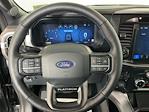 2025 Ford F-150 SuperCrew Cab 4WD Pickup for sale #I9656 - photo 21