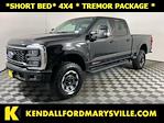 2024 Ford F-350 Crew Cab SRW 4x4 Pickup for sale #IAB7136 - photo 1