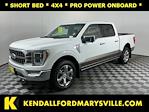 2021 Ford F-150 SuperCrew Cab 4x4 Pickup for sale #IAB7274 - photo 1