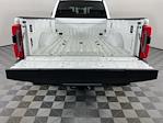 2024 Ford F-450 Crew Cab DRW 4x4 Pickup for sale #IAB7374 - photo 7
