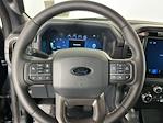 2024 Ford F-150 SuperCrew Cab 4x4 Pickup for sale #IAB7390 - photo 20