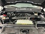 2024 Ford F-150 SuperCrew Cab 4x4 Pickup for sale #IAB7390 - photo 36