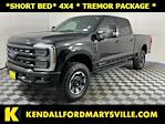 2024 Ford F-350 Crew Cab SRW 4WD Pickup for sale #IAB7554 - photo 1