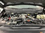 2024 Ford F-350 Crew Cab SRW 4WD Pickup for sale #IAB7554 - photo 35
