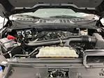 2024 Ford F-150 SuperCrew Cab 4WD Pickup for sale #IAB7740 - photo 29