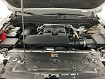 2023 Chevrolet Colorado Crew Cab 4WD Pickup for sale #IAB7894 - photo 31