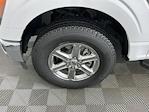 2025 Ford F-150 SuperCrew Cab 4WD Pickup for sale #IAB8237 - photo 25