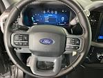 2025 Ford F-150 SuperCrew Cab 4WD Pickup for sale #IAB8240 - photo 15