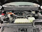 2025 Ford F-150 SuperCrew Cab 4WD Pickup for sale #IAB8262 - photo 35