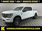 2022 Ford F-150 SuperCrew Cab 4WD Pickup for sale #IAB8281 - photo 1