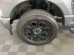 2023 Ford F-350 Crew Cab SRW 4x4 Pickup for sale #IAJ7342 - photo 33